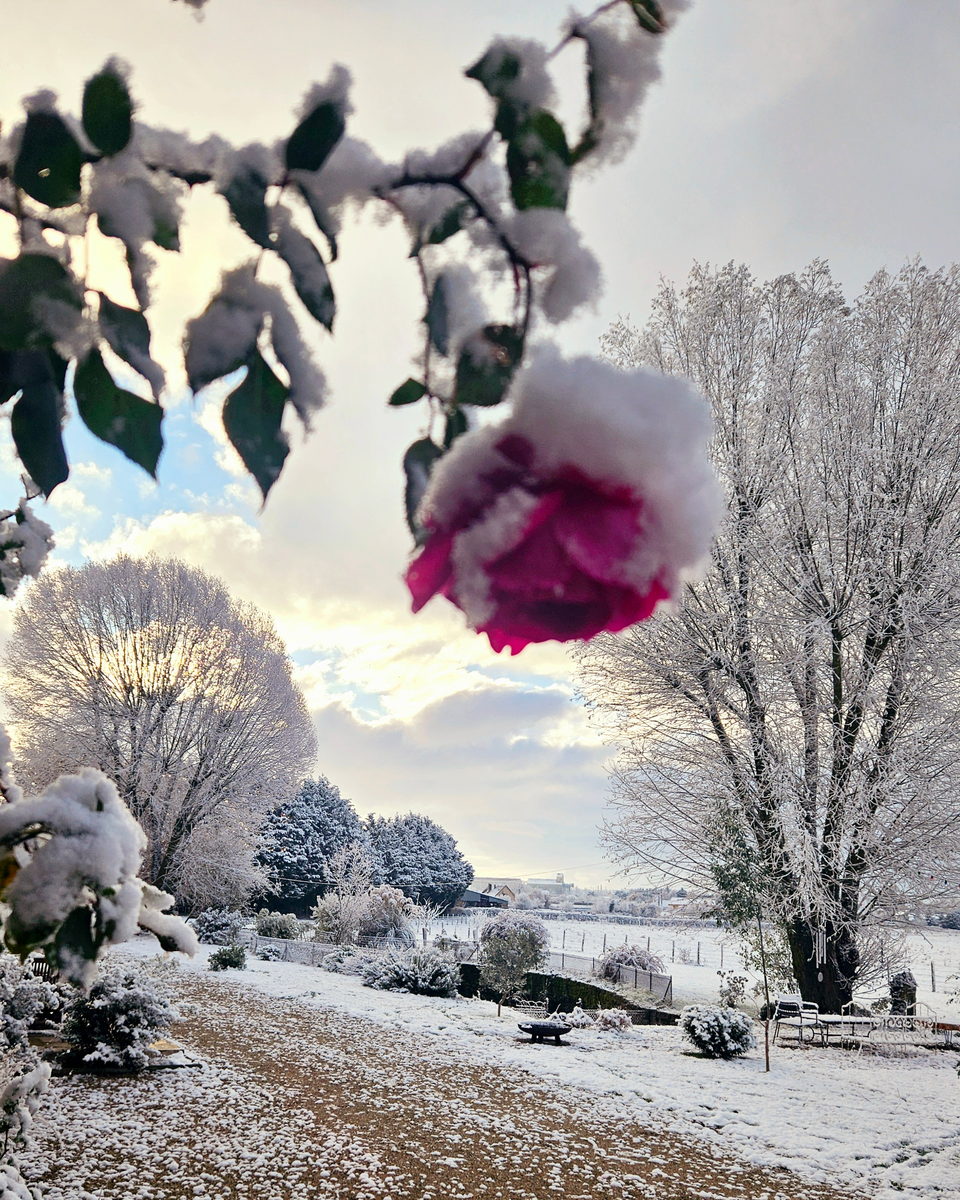 Joia, Maison de joie hivers
