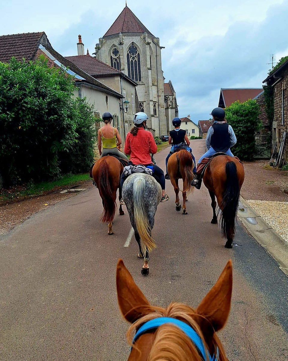 Joia, Evénement Yoga Cheval stage pour vous
