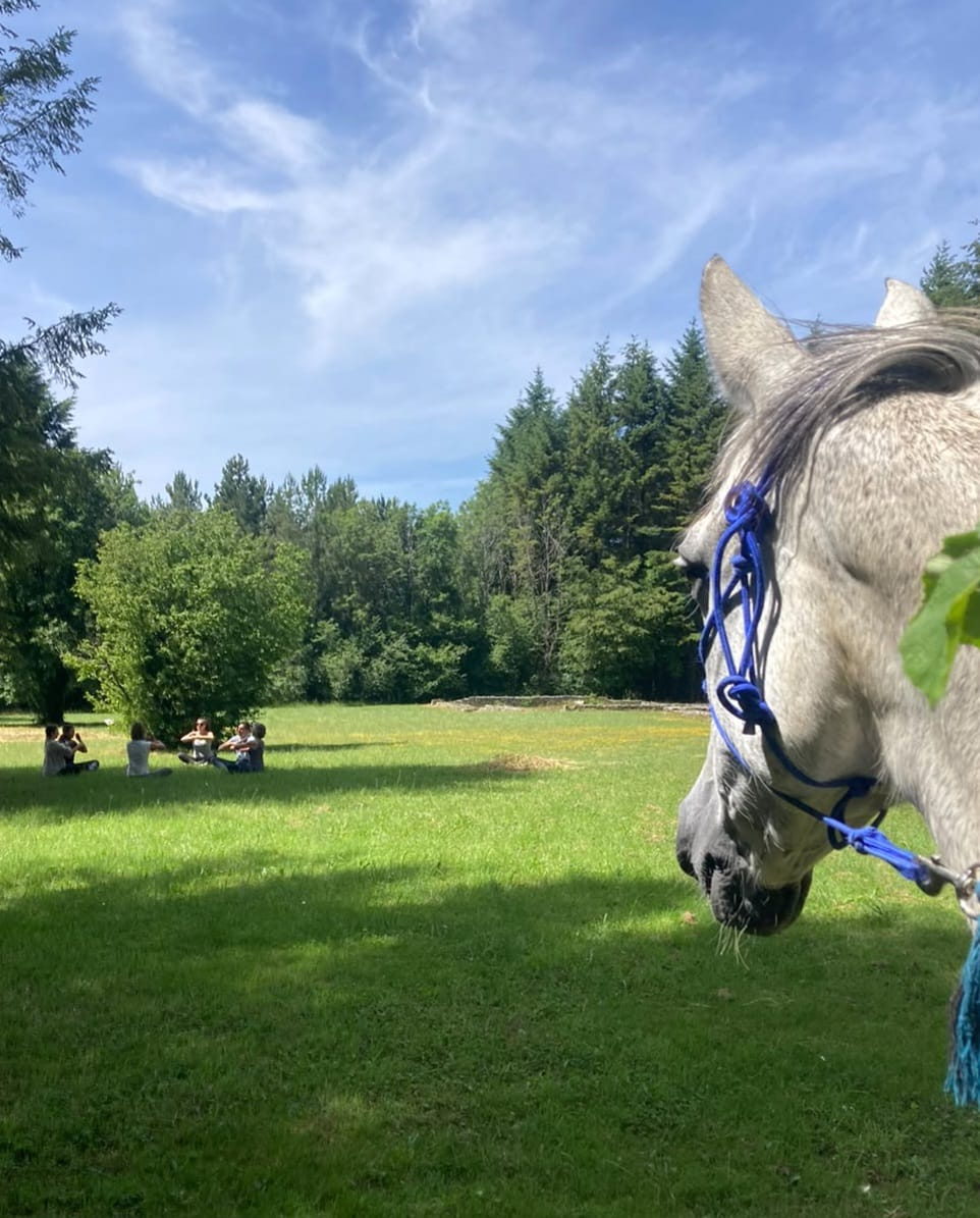 Joia, Evénement Yoga Cheval stage pour vous