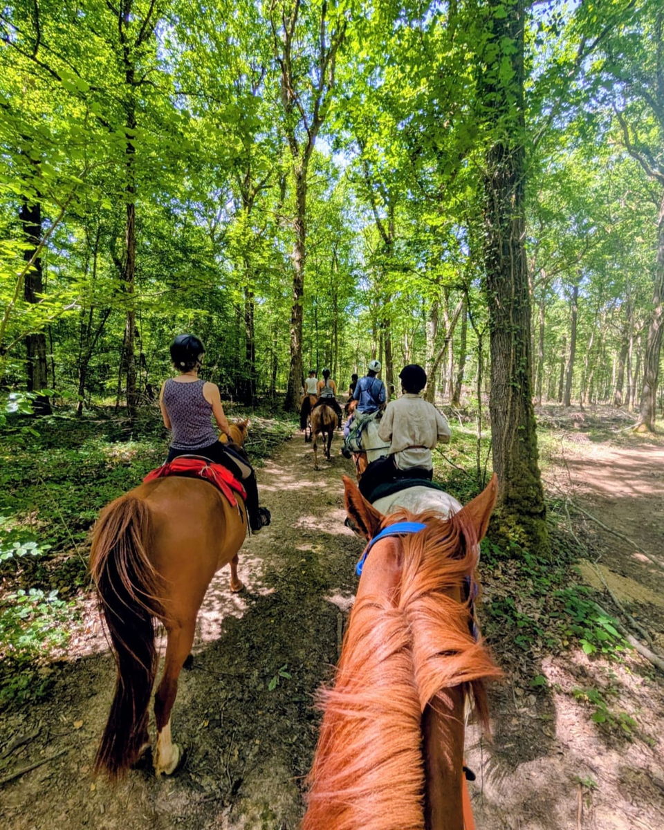 Joia, Evénement Yoga Cheval stage pour vous