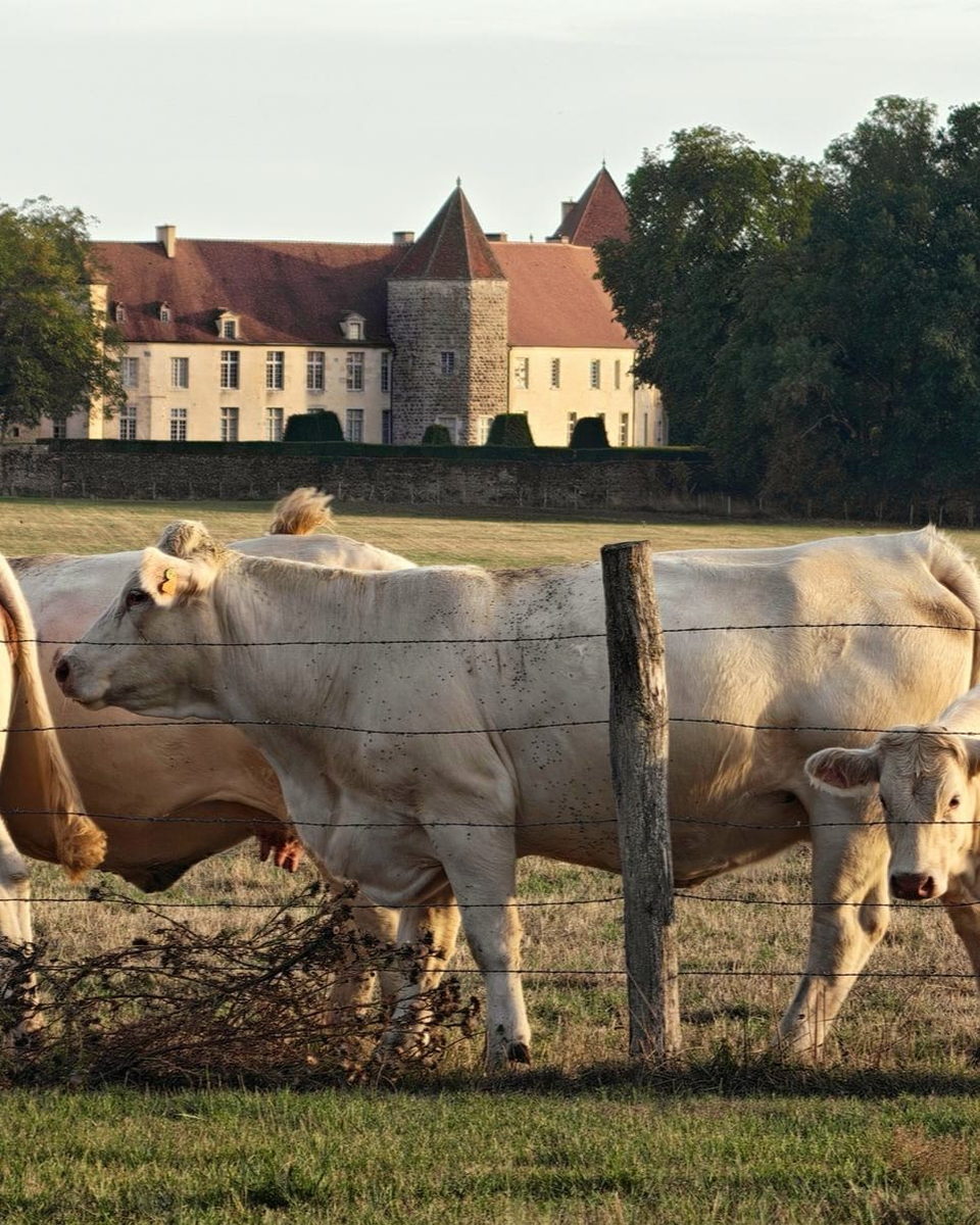 Joia, Maison de joie, vivre en harmonie